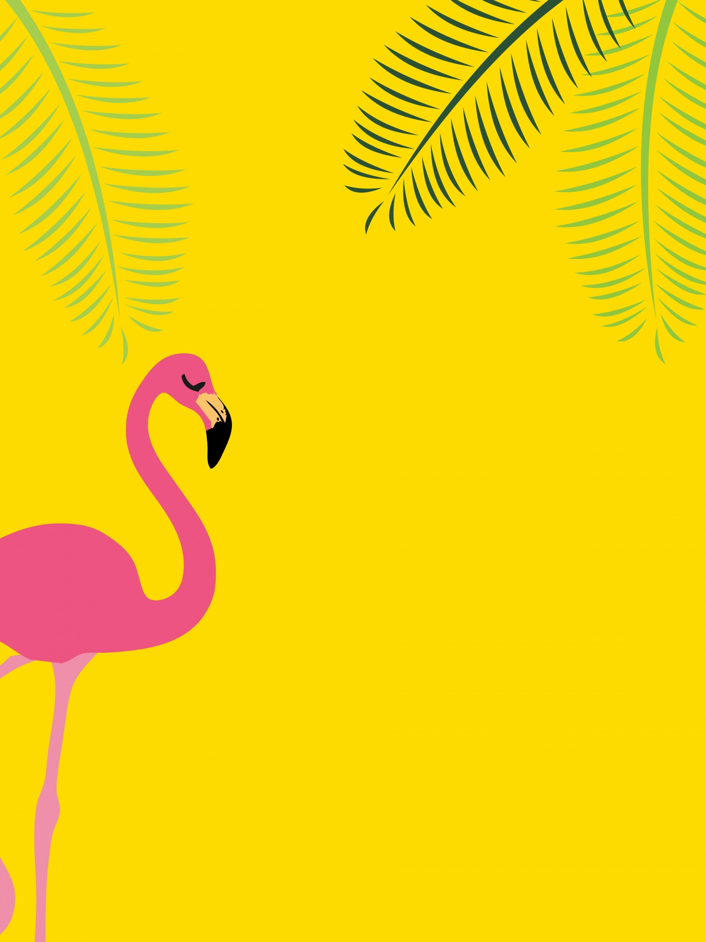 flamingo-tropical-summer-background-1592554565bdW